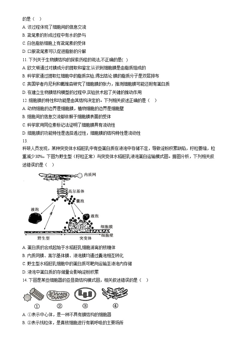 黑龙江省哈尔滨市第六中学校2024-2025学年高一上学期12月月考生物试题  Word版无答案第3页