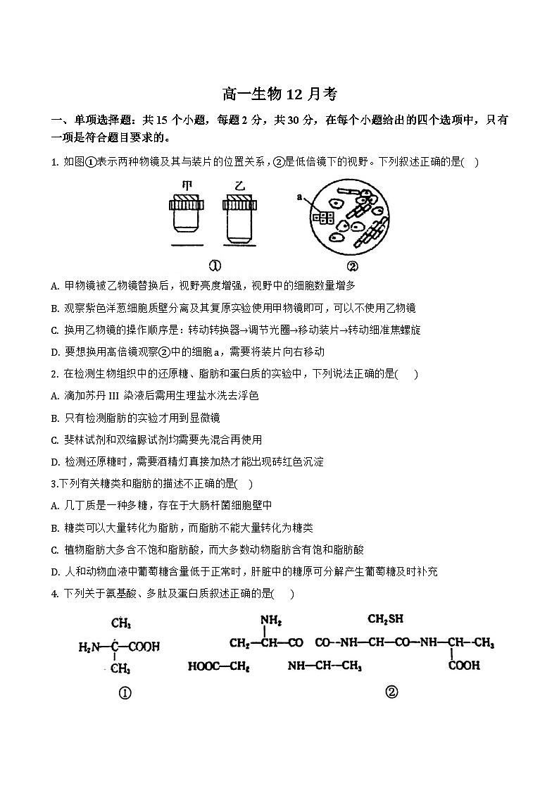 吉林省梅河口市第五中学2024-2025学年高一上学期12月月考生物试卷（Word版附答案）第1页