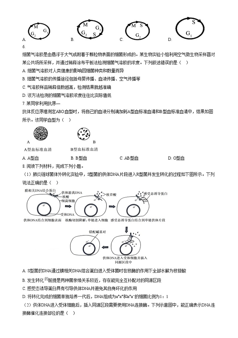 浙江省强基联盟2024-2025学年高三上学期12月联考生物试题  Word版无答案第2页