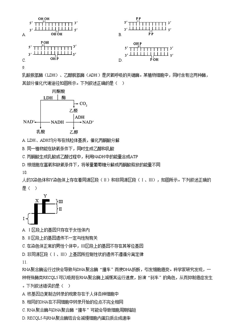 浙江省强基联盟2024-2025学年高三上学期12月联考生物试题  Word版无答案第3页