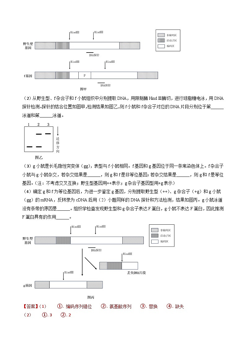 2024年高考生物真题和模拟题分类汇编专题08遗传规律和应用（Word版附解析）第3页