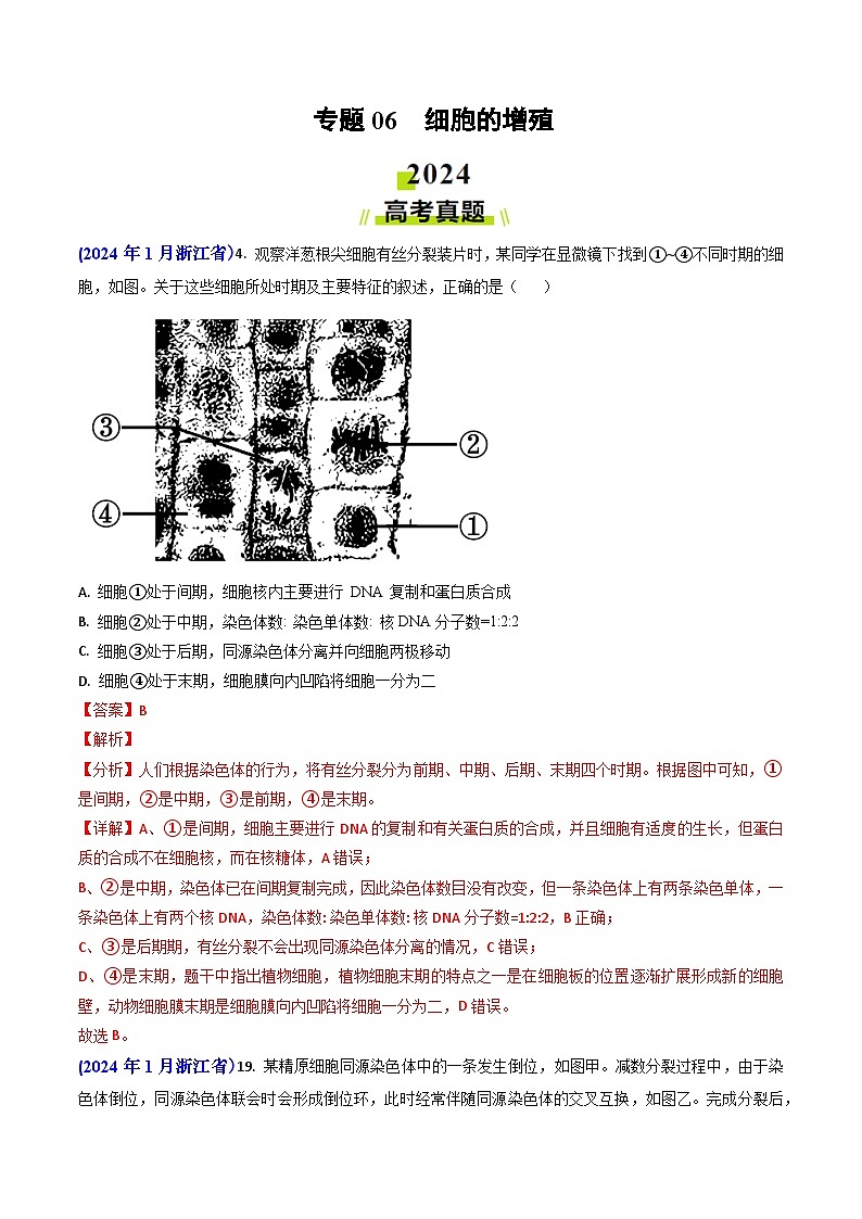 2024年高考生物真题和模拟题分类汇编专题06细胞的增殖（Word版附解析）第1页