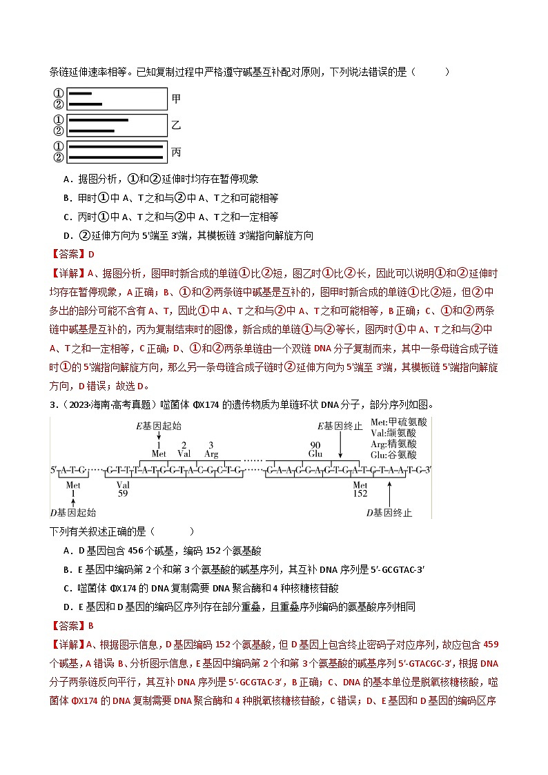 十年高考生物真题（2014-2023）分项汇编专题10遗传的分子基础（Word版附解析）第2页