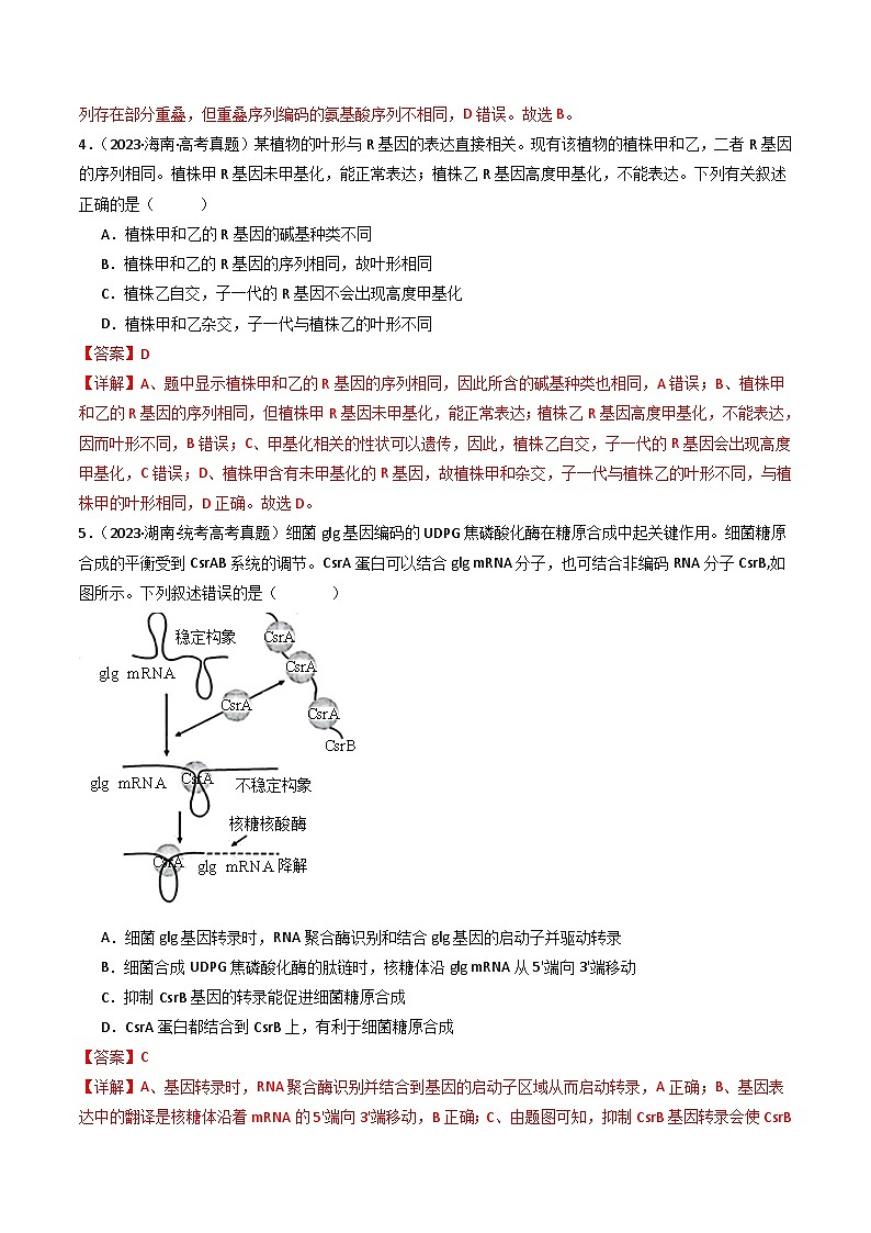 十年高考生物真题（2014-2023）分项汇编专题10遗传的分子基础（Word版附解析）第3页