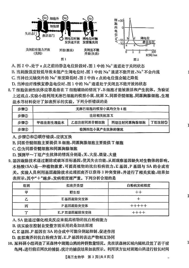 青海省部分学校金太阳2025届高三上学期12月联考-生物试卷+答案第3页