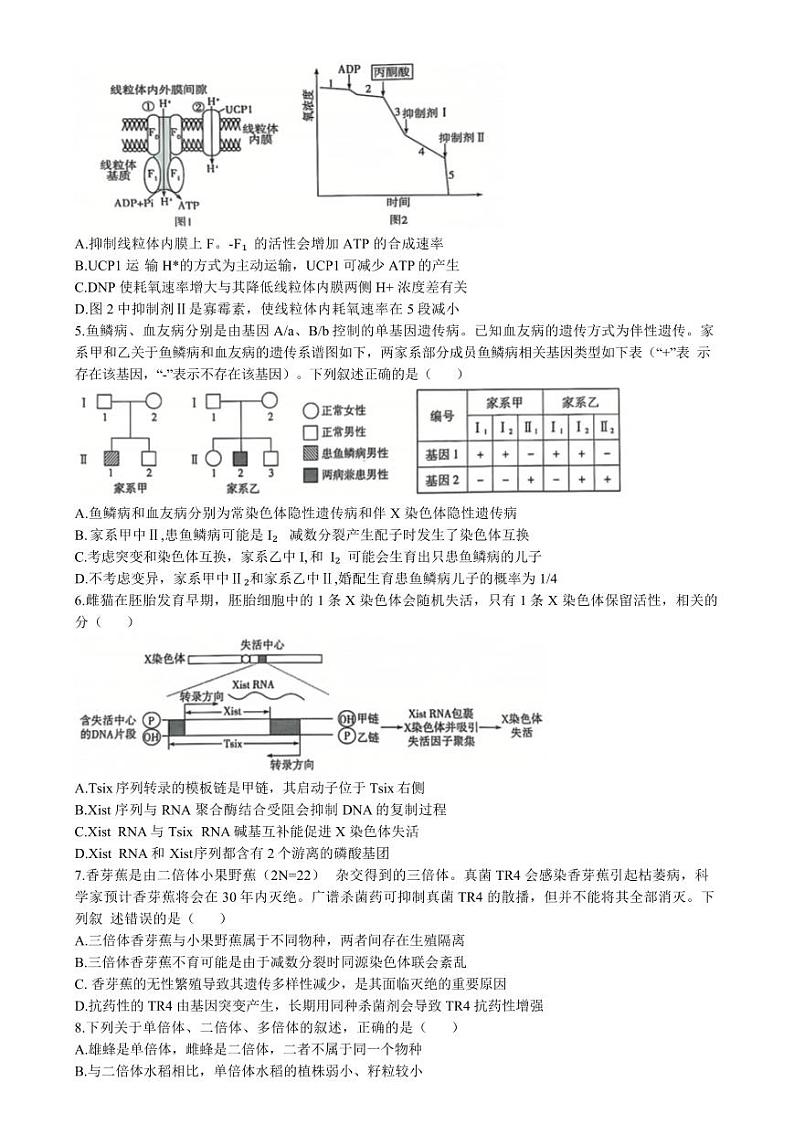 山东省天一联考&齐鲁名校联盟2025届高三上学期12月第三次联考-生物试卷+答案第2页