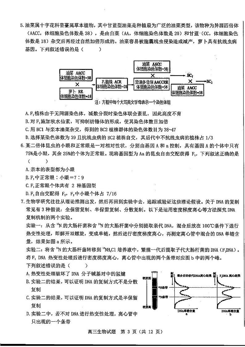山东省中学联盟百校大联考2025届高三上学期12月学情诊断-生物试题+答案第3页