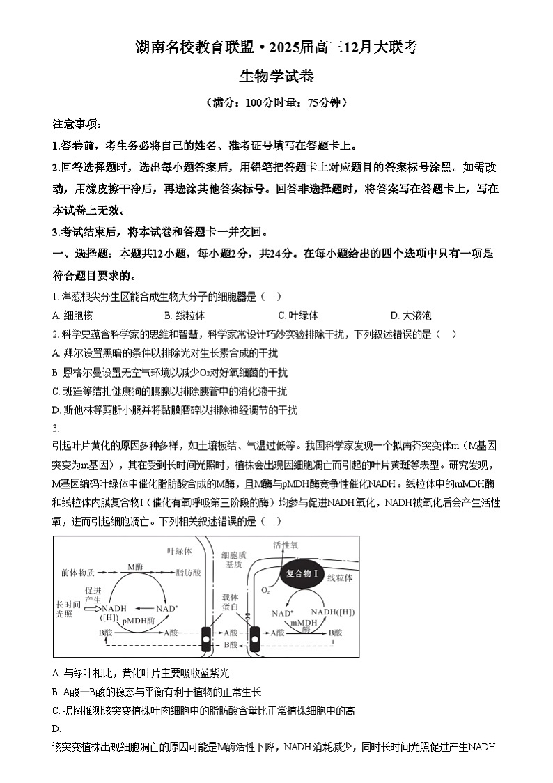 湖南省名校教育联盟2024-2025学年高三上学期12月大联考生物试题  Word版无答案第1页