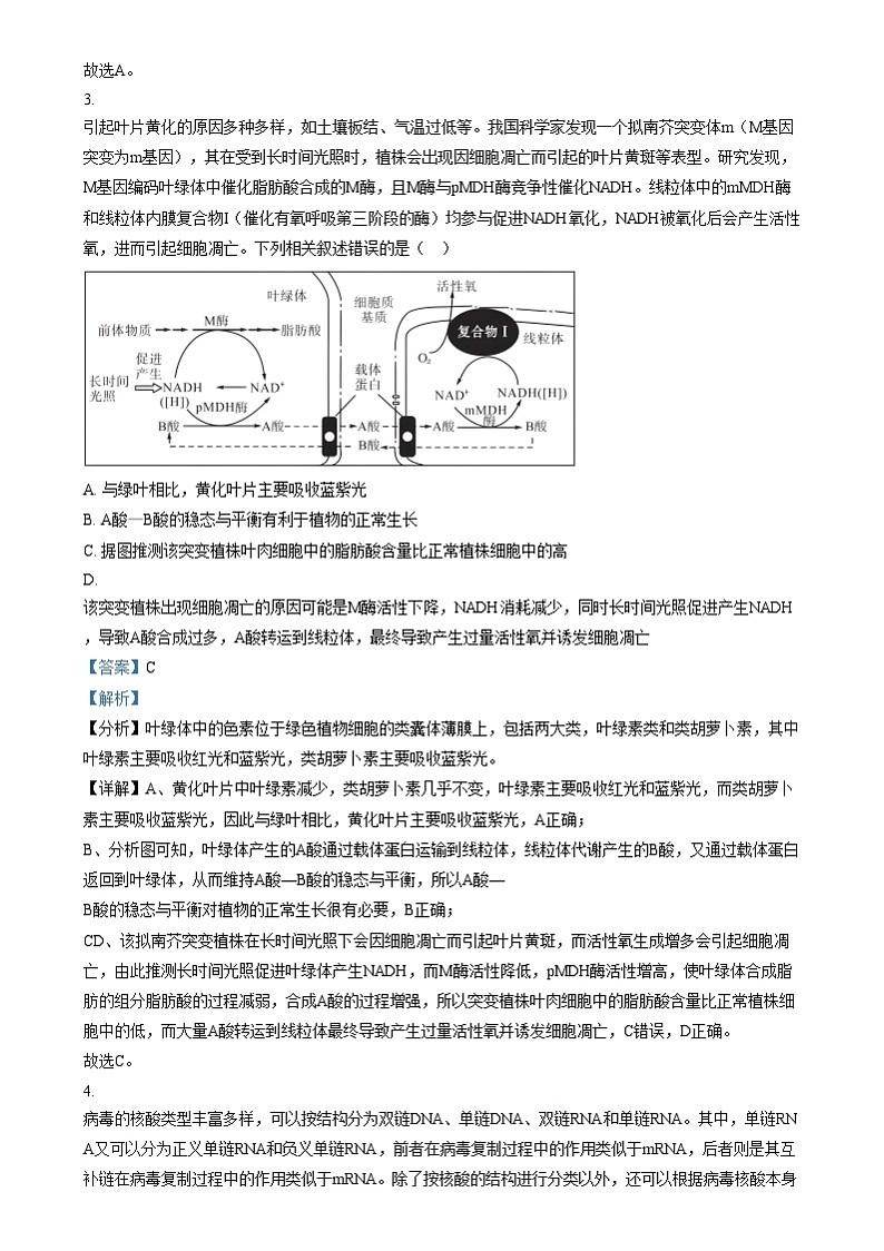 湖南省名校教育联盟2024-2025学年高三上学期12月大联考生物试题  Word版含解析第2页