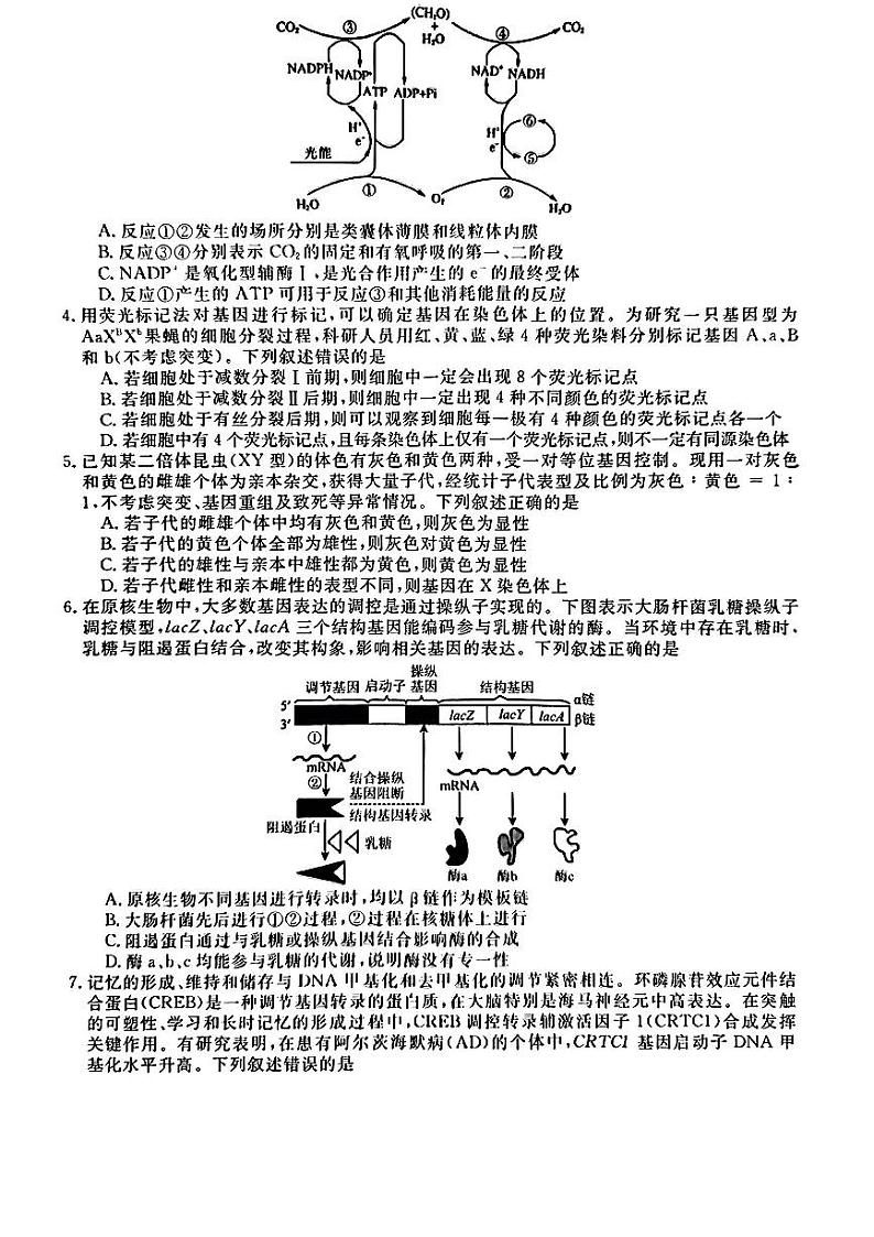 生物第2页
