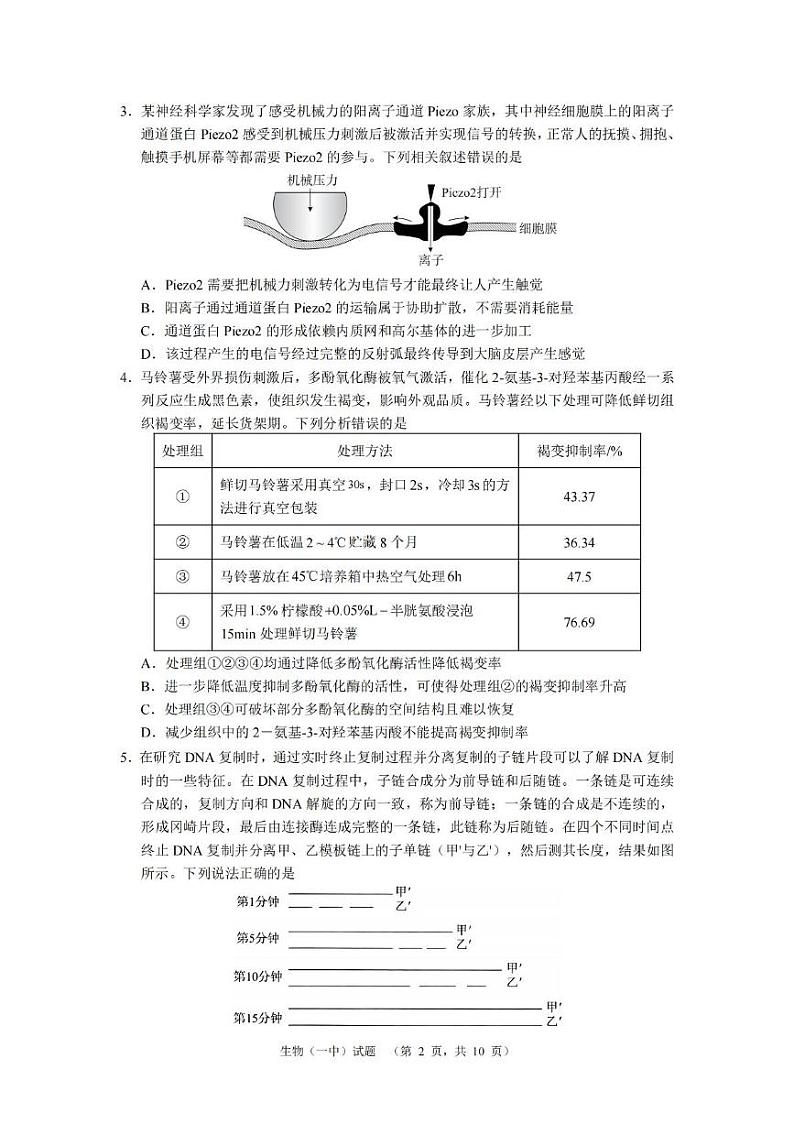 2025长沙一中高三上学期阶段性检测（五）生物PDF版含解析第2页