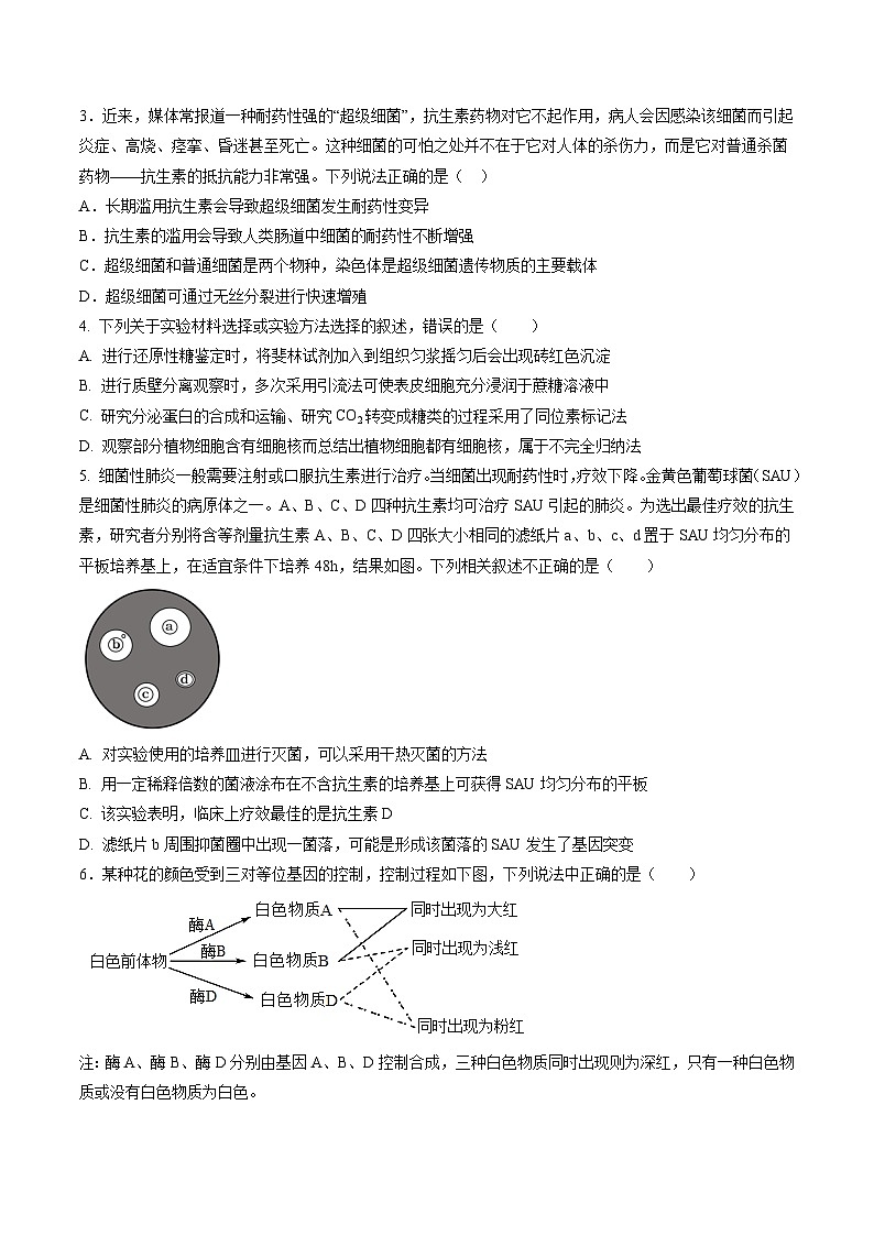 2025甘肃省西北师大附中高三上学期一模诊断考试生物含答案第2页