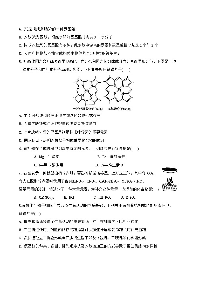 2025梅河口五中高一上学期12月月考试题生物含答案第2页