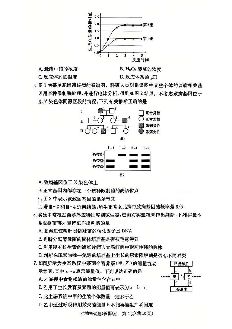 湖南省长沙市长郡中学2025届高三上学期第四次月考试卷生物试卷（PDF版）含答案第2页