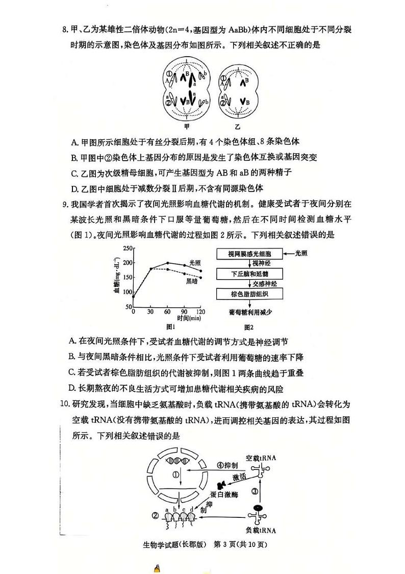 湖南省长沙市长郡中学2025届高三上学期第四次月考试卷生物试卷（PDF版）含答案第3页
