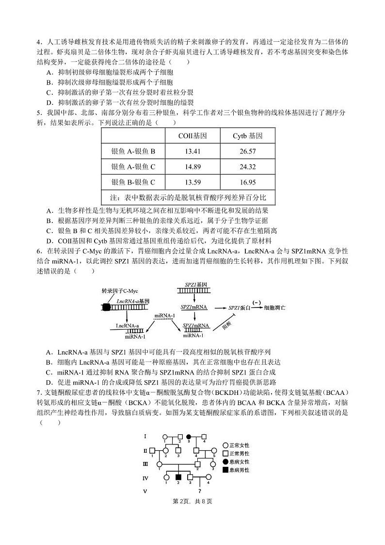 四川省成都市石室中学2025届高三上学期高考适应性测试演练模拟考试生物试卷（PDF版）含答案第2页