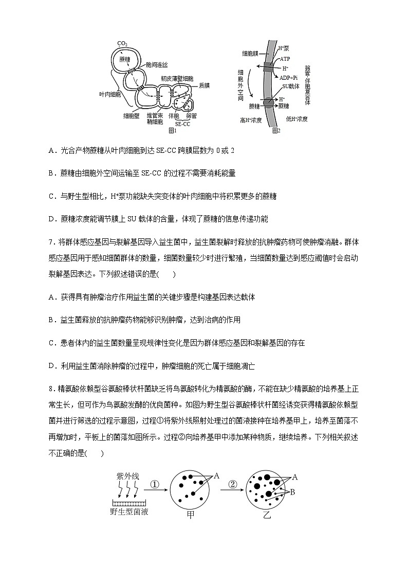 四川省乐山市重点高中2024-2025学年高三上学期12月联考生物试卷含答案第3页