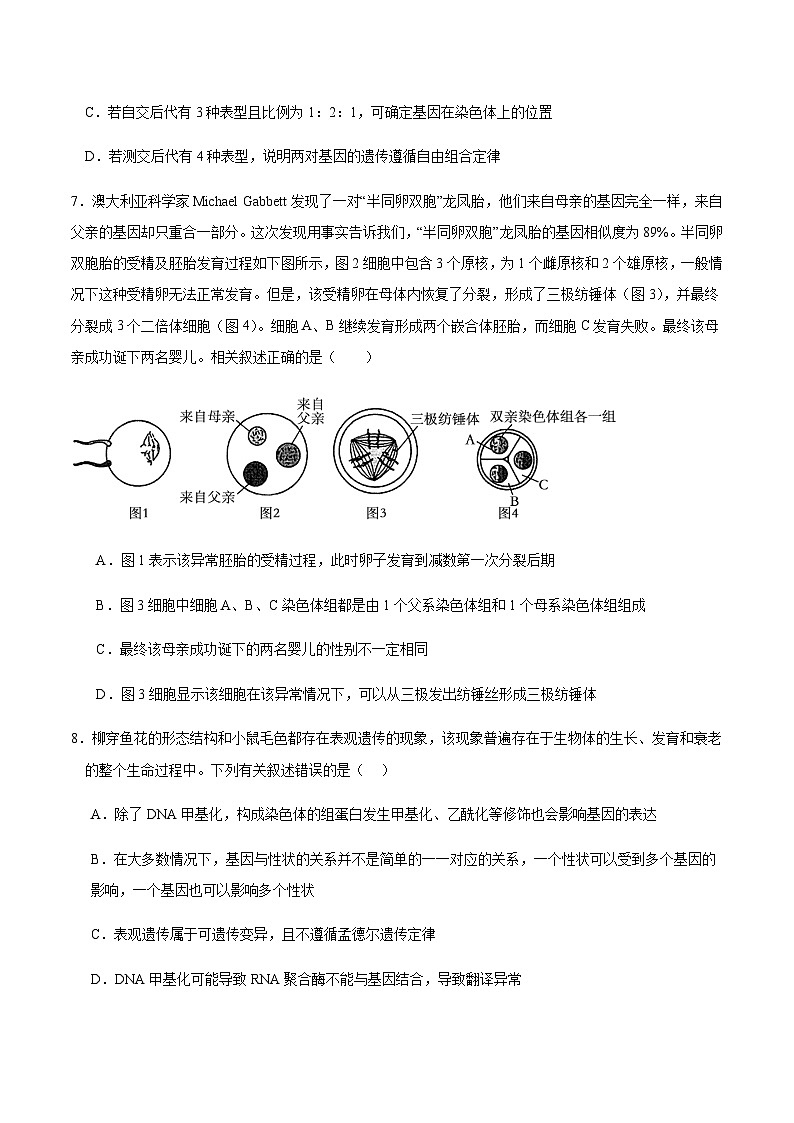 四川省宜宾市重点高中2024-2025学年高三上学期12月月考生物试卷含答案第3页