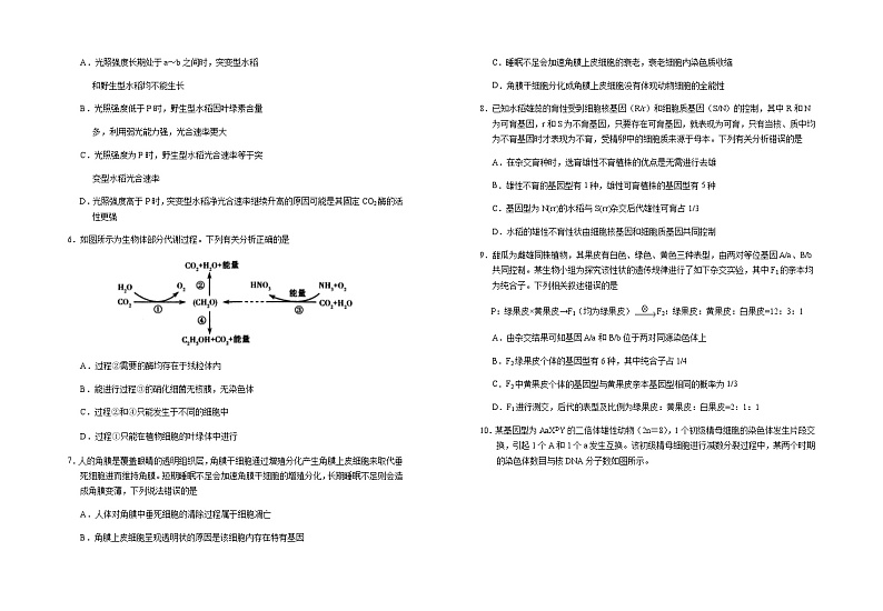 宁夏顶级名校2024-2025学年高三上学期第四次月考生物试卷含答案第2页