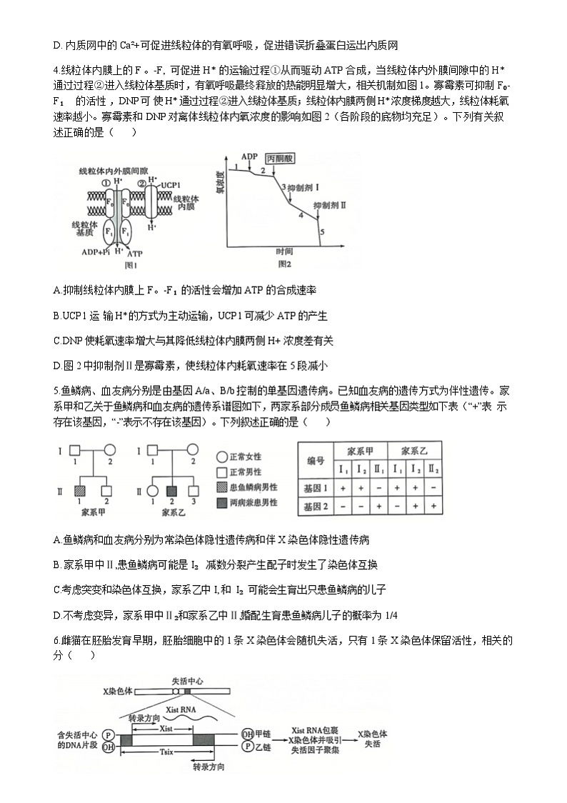 山东省齐鲁名校联盟2024-2025学年高三上学期12月第三次联考生物试卷含答案第2页