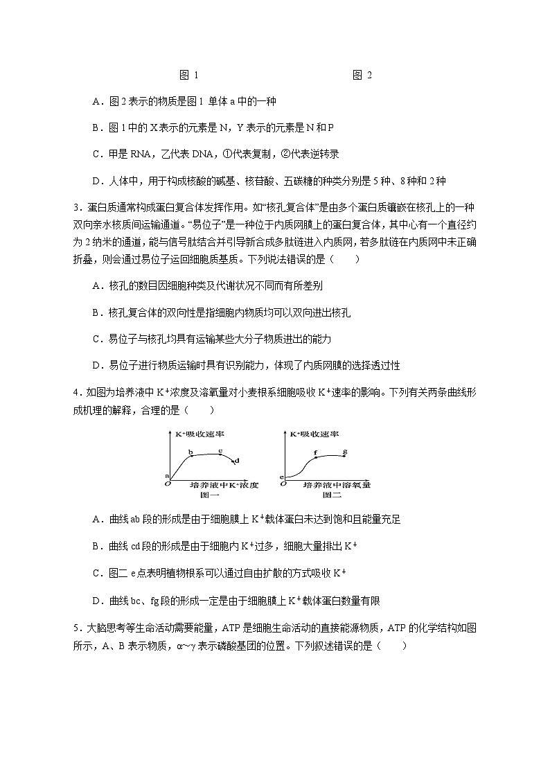 广东省实验中学2025届高三上学期11月阶段考试生物试卷（无答案）第2页