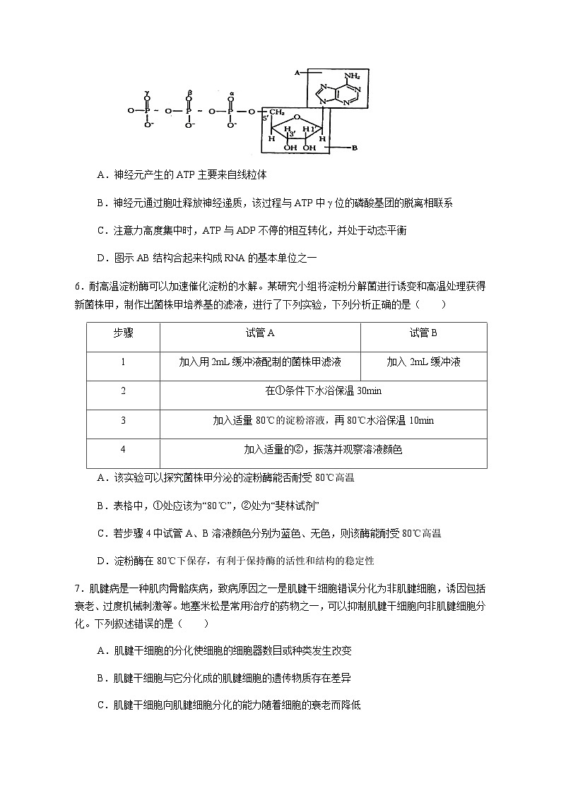 广东省实验中学2025届高三上学期11月阶段考试生物试卷（无答案）第3页