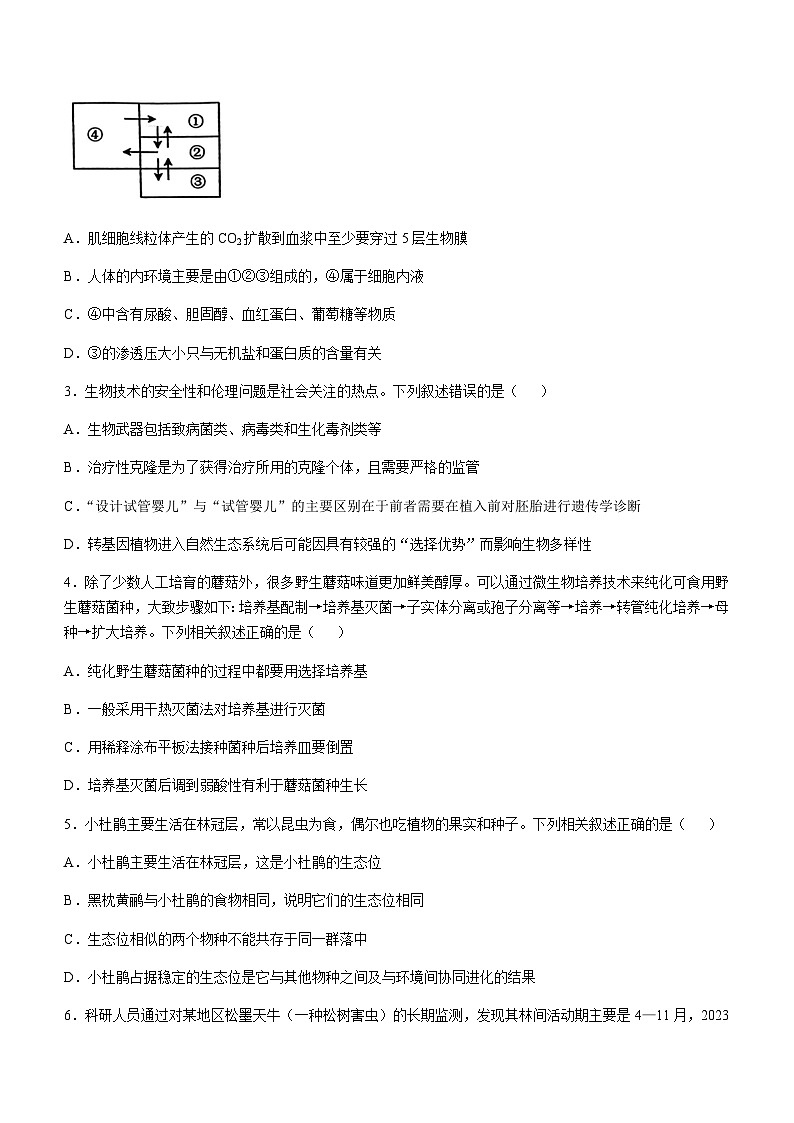 河北省邯郸市部分重点高中2024-2025学年高三上学期11月模拟预测试题生物试卷含答案第2页