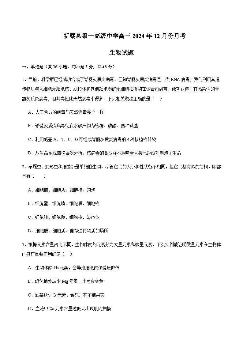 河南省新蔡县第一高级中学2025届高三上学期12月月考生物试卷含答案第1页
