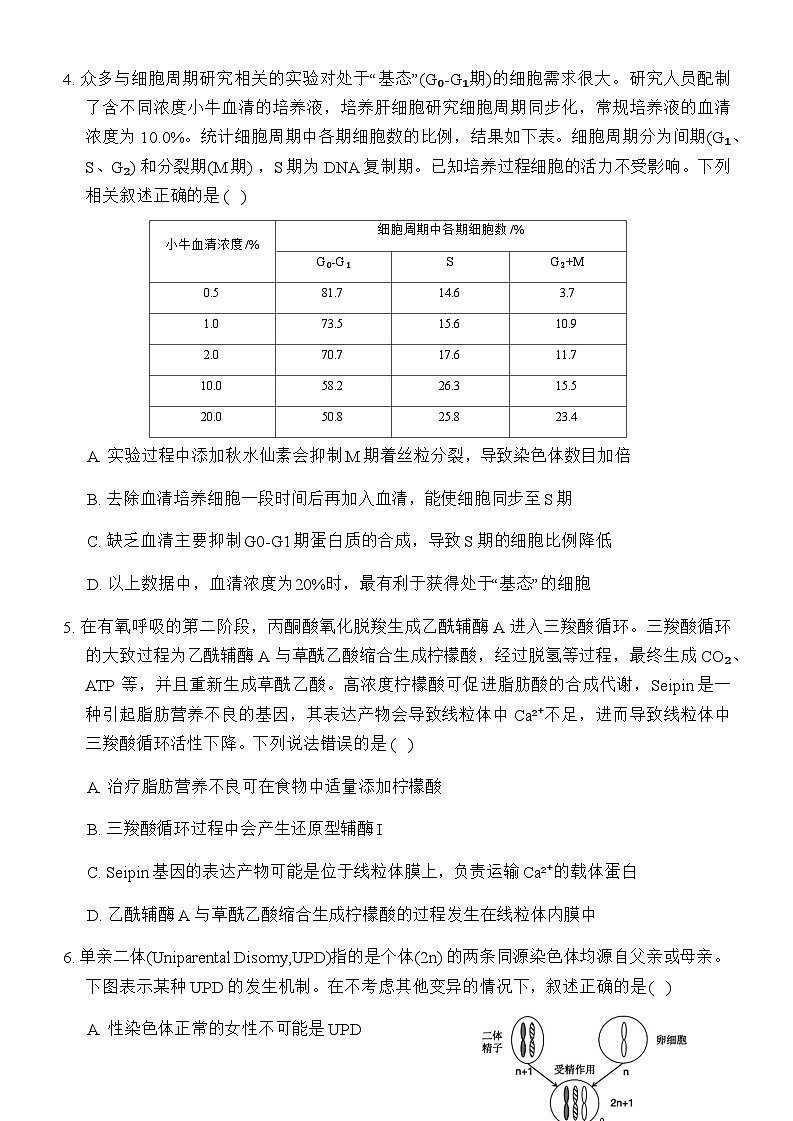 重庆市西南大学附属中学2024~2025学年高三上学期12月一诊模拟考试生物试卷含答案第3页