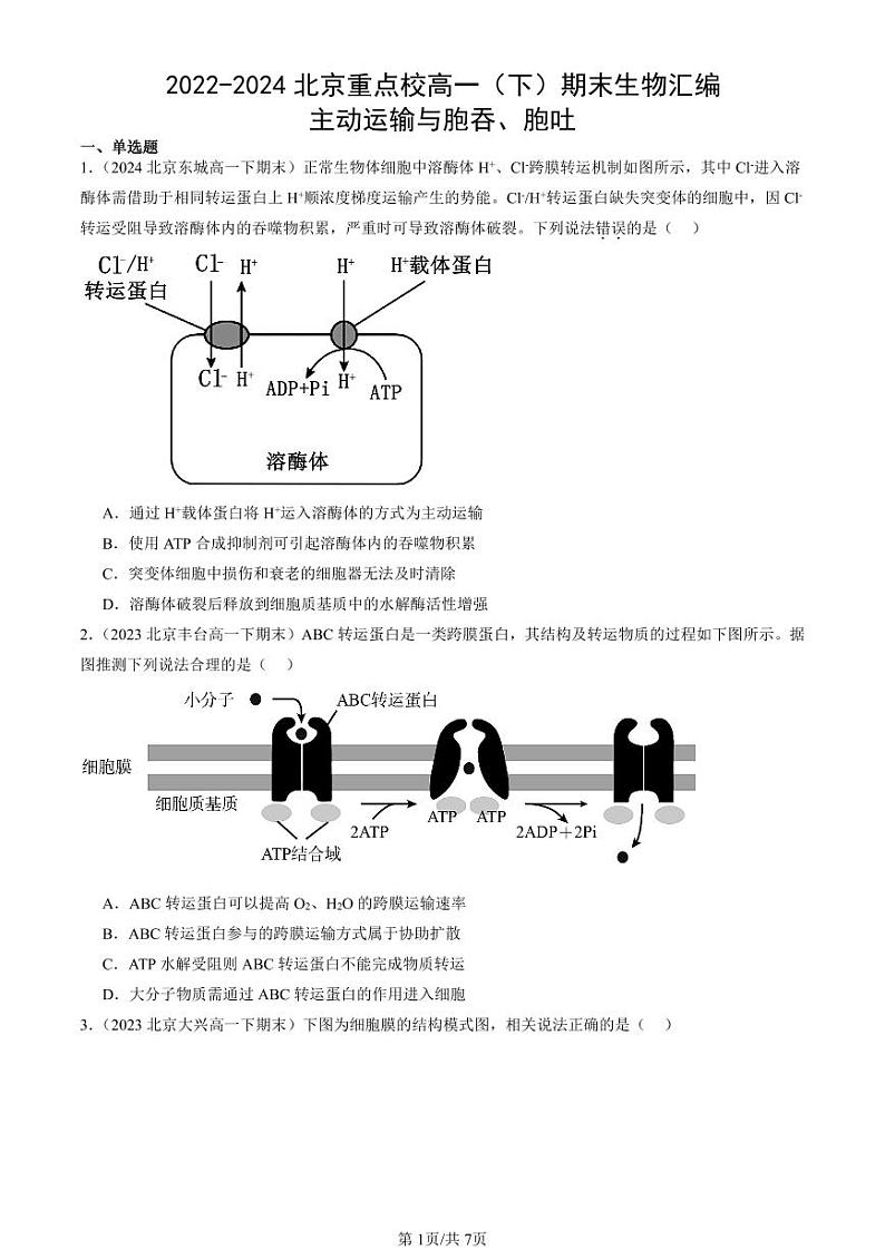 2022-2024北京重点校高一（下）期末真题生物汇编：主动运输与胞吞、胞吐第1页