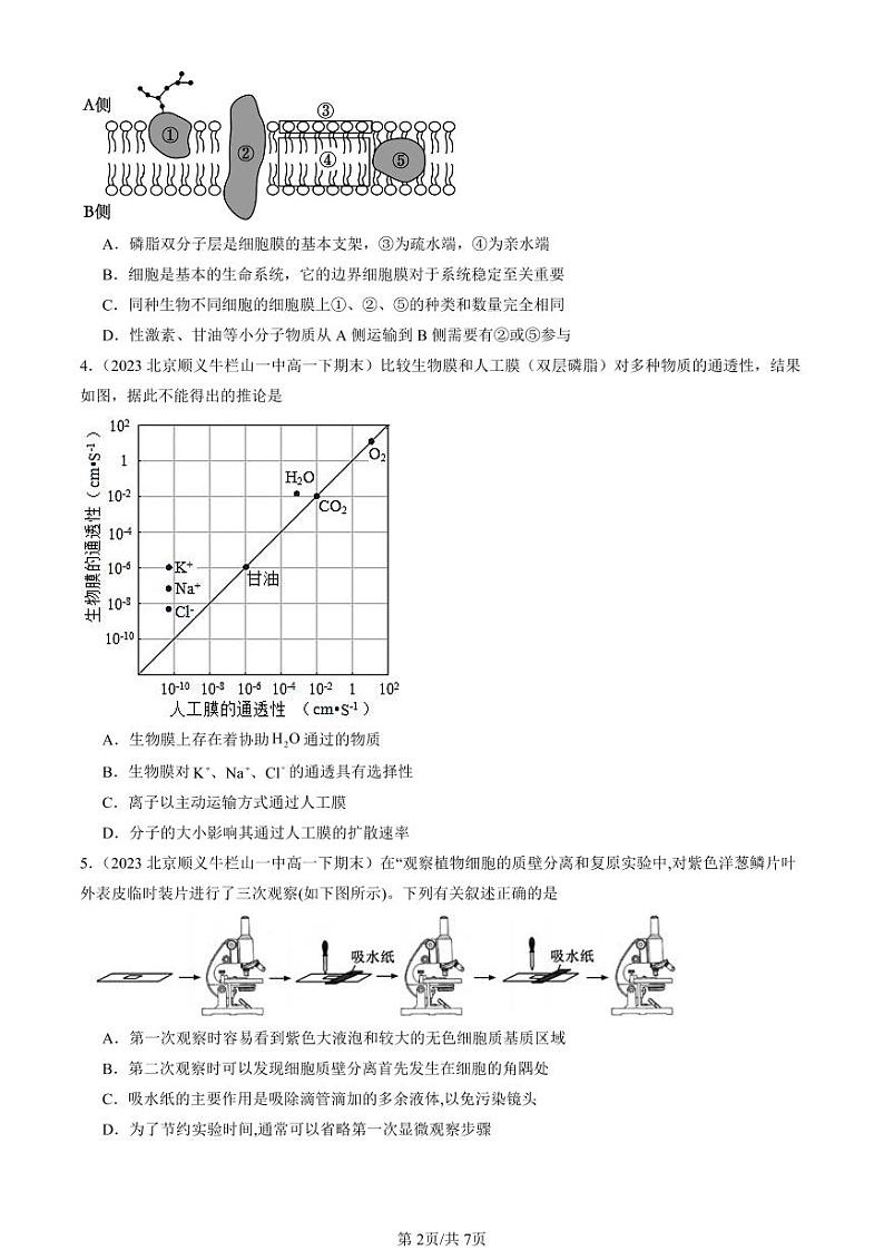 2022-2024北京重点校高一（下）期末真题生物汇编：主动运输与胞吞、胞吐第2页