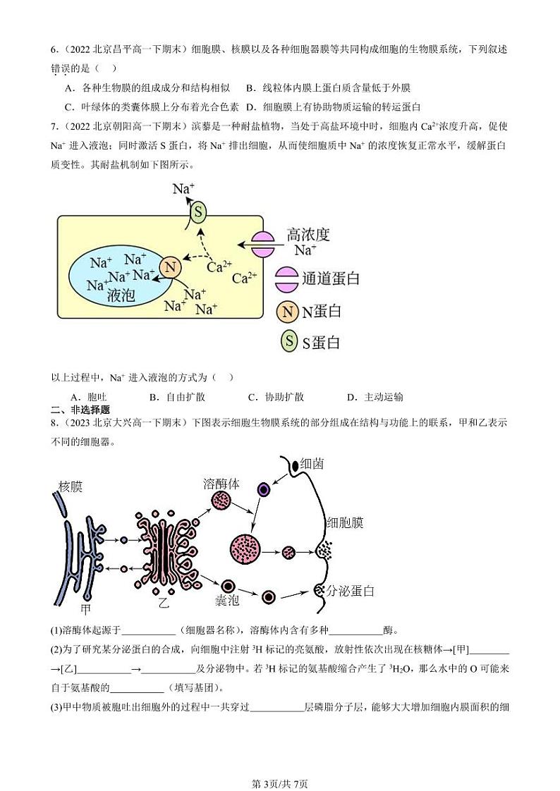 2022-2024北京重点校高一（下）期末真题生物汇编：主动运输与胞吞、胞吐第3页