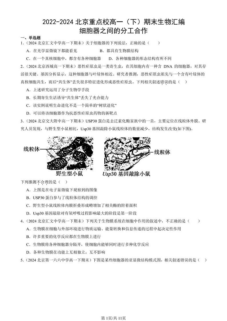 2022-2024北京重点校高一（下）期末真题生物汇编：细胞器之间的分工合作第1页