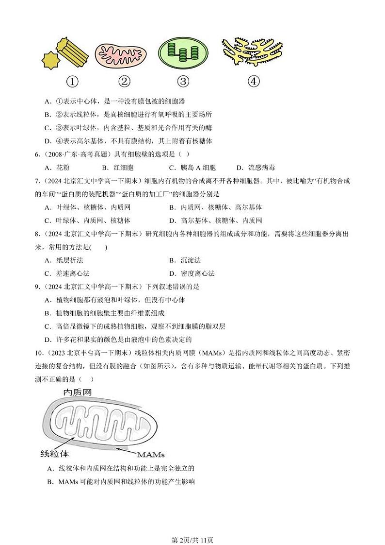 2022-2024北京重点校高一（下）期末真题生物汇编：细胞器之间的分工合作第2页