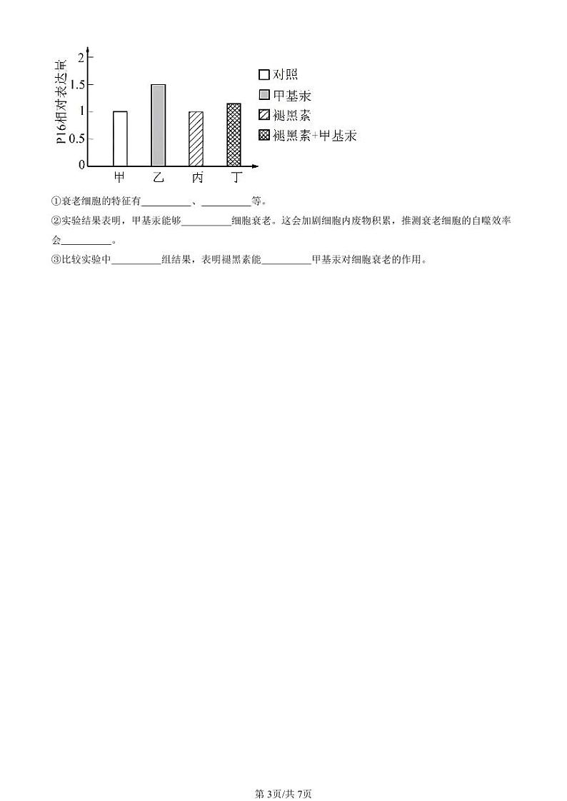 2022-2024北京重点校高一（下）期末真题生物汇编：细胞的生命历程章节综合第3页