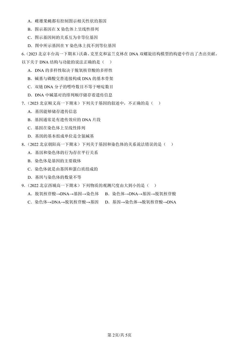2022-2024北京重点校高一（下）期末真题生物汇编：基因通常是有遗传效应的DNA片段第2页