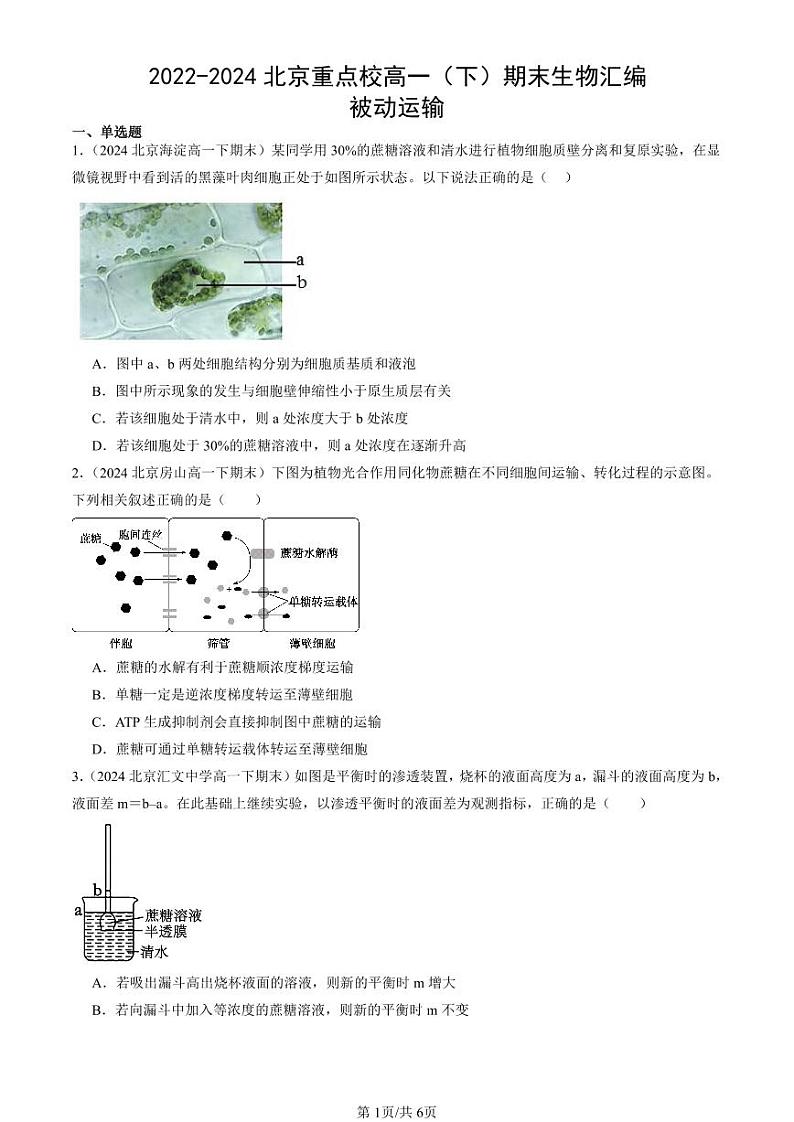 2022-2024北京重点校高一（下）期末真题生物汇编：被动运输第1页