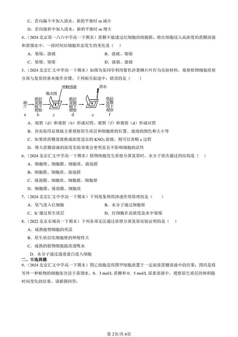 2022-2024北京重点校高一（下）期末真题生物汇编：被动运输第2页