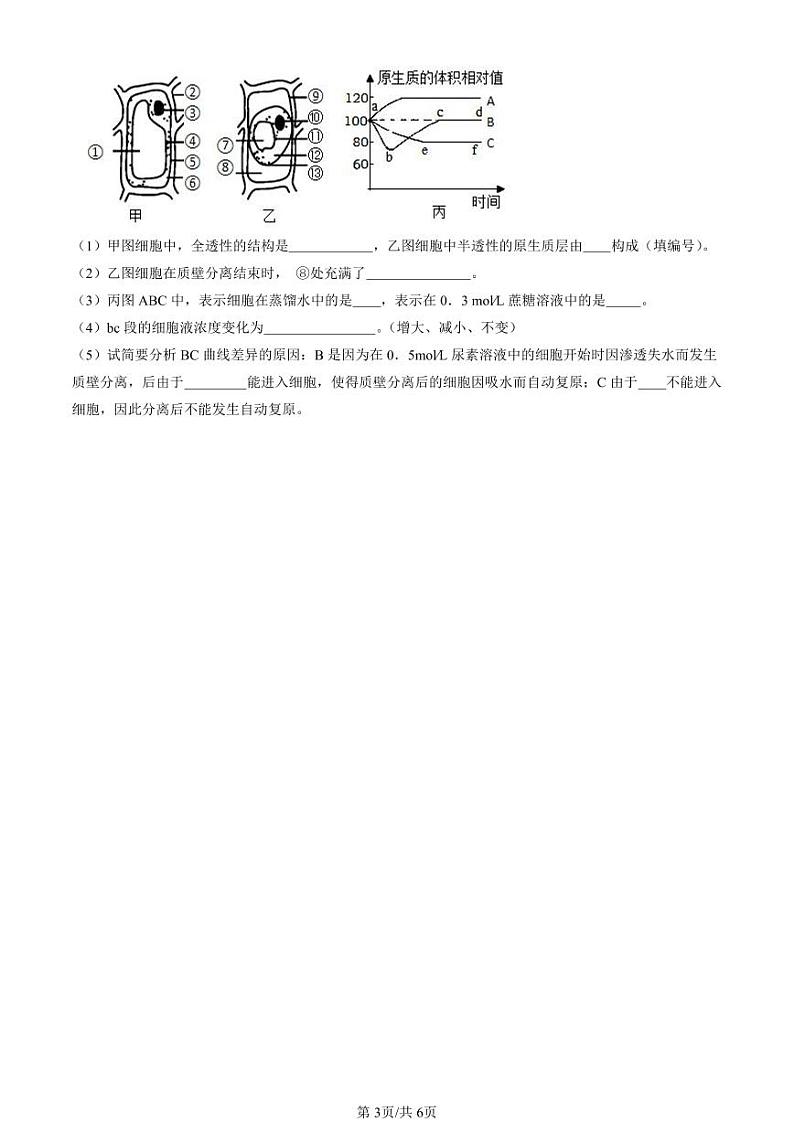 2022-2024北京重点校高一（下）期末真题生物汇编：被动运输第3页