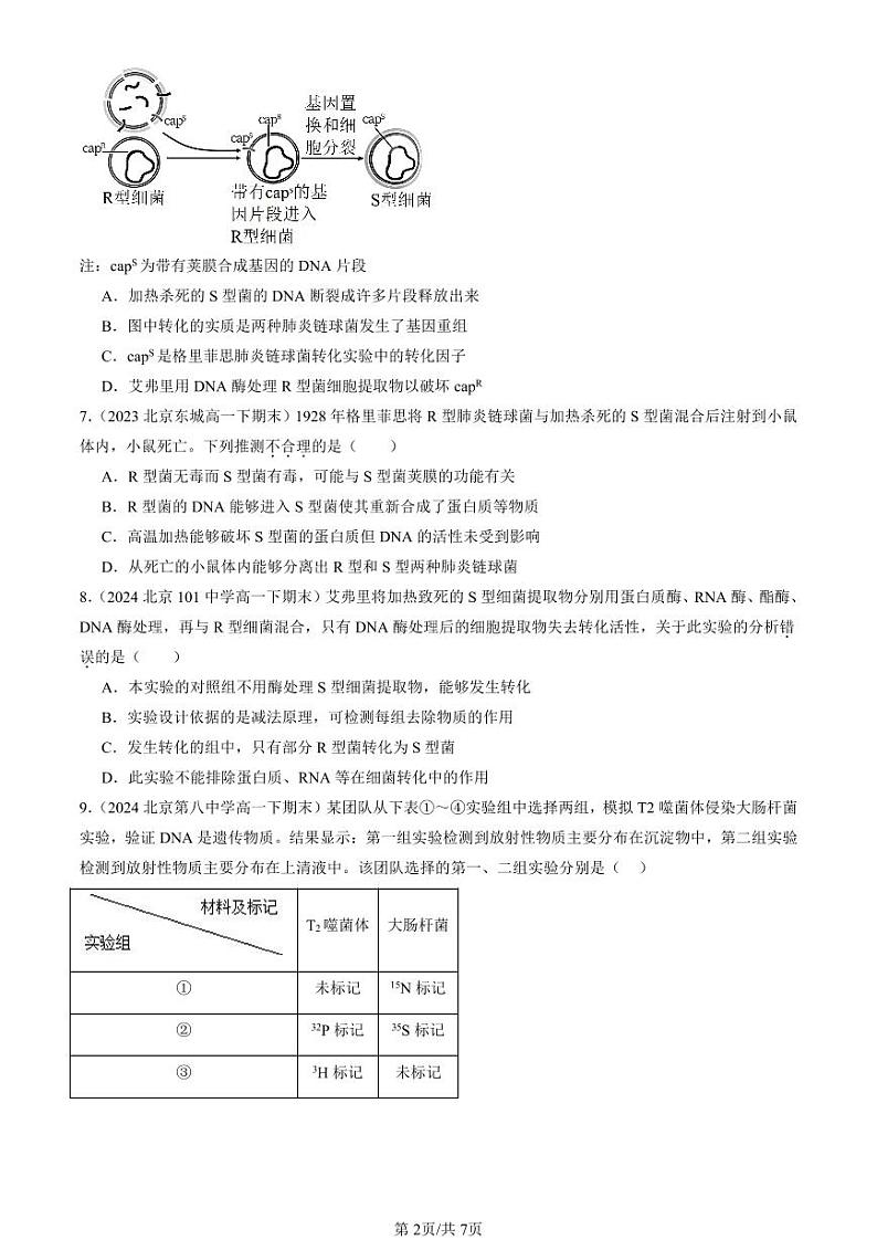 2022-2024北京重点校高一（下）期末真题生物汇编：DNA是主要的遗传物质第2页