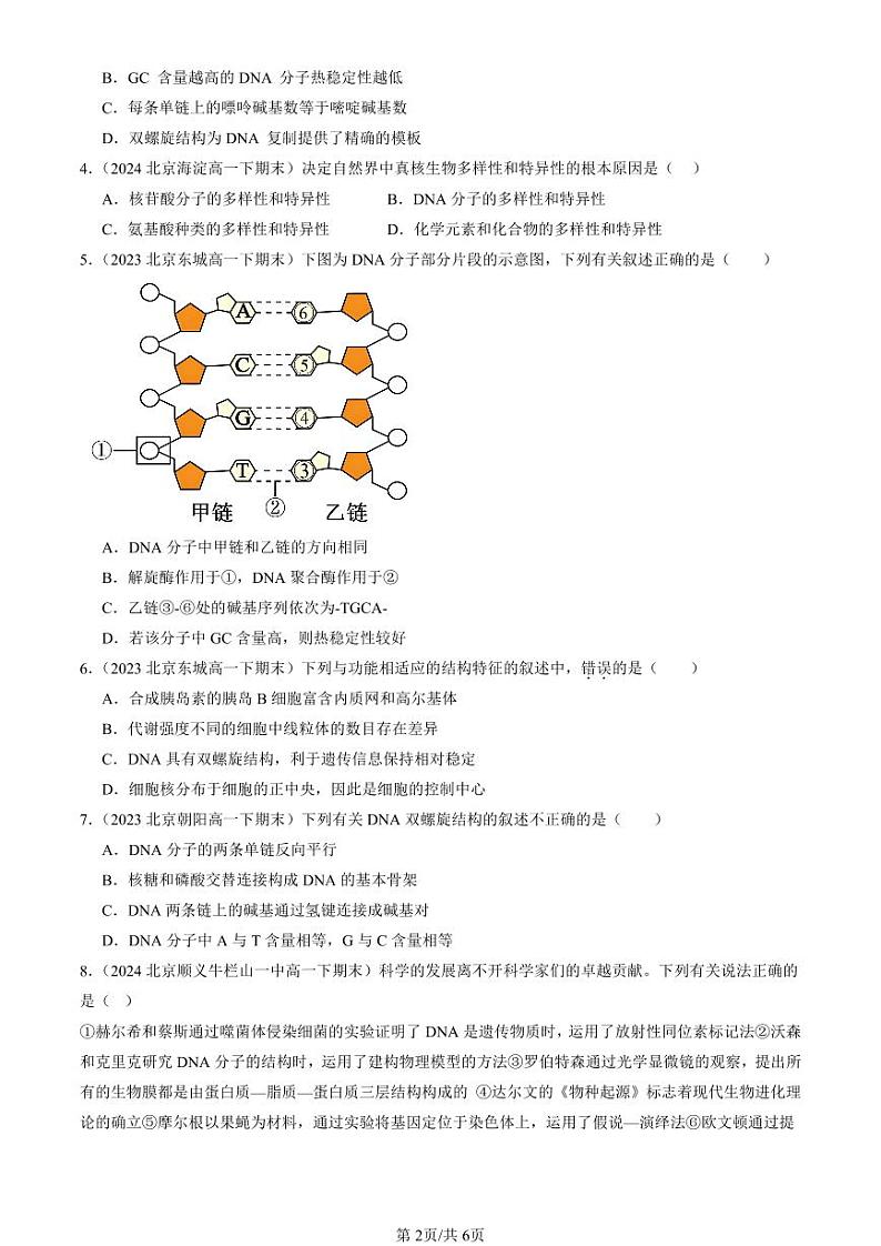 2022-2024北京重点校高一（下）期末真题生物汇编：DNA的结构第2页