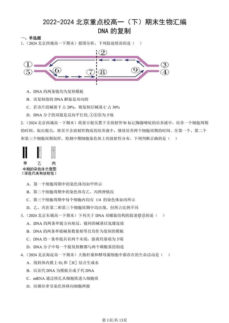 2022-2024北京重点校高一（下）期末真题生物汇编：DNA的复制第1页