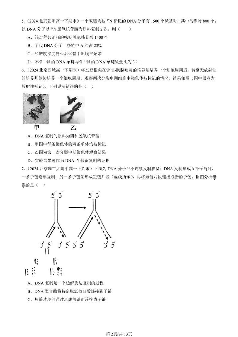 2022-2024北京重点校高一（下）期末真题生物汇编：DNA的复制第2页