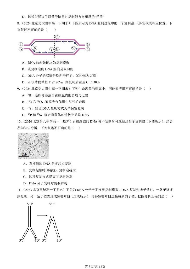 2022-2024北京重点校高一（下）期末真题生物汇编：DNA的复制第3页