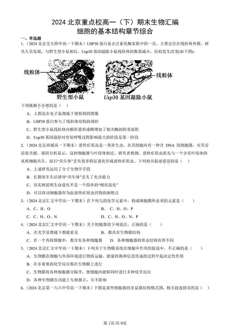 2024北京重点校高一（下）期末真题生物汇编：细胞的基本结构章节综合第1页