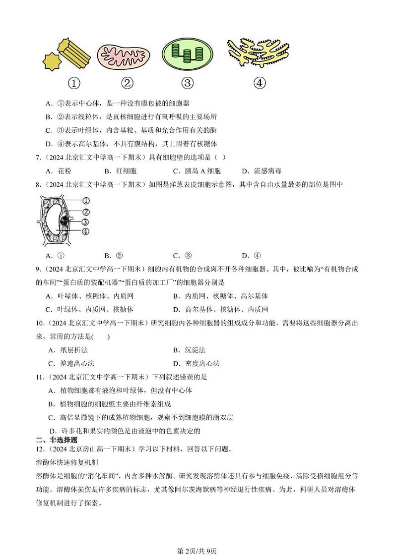 2024北京重点校高一（下）期末真题生物汇编：细胞的基本结构章节综合第2页