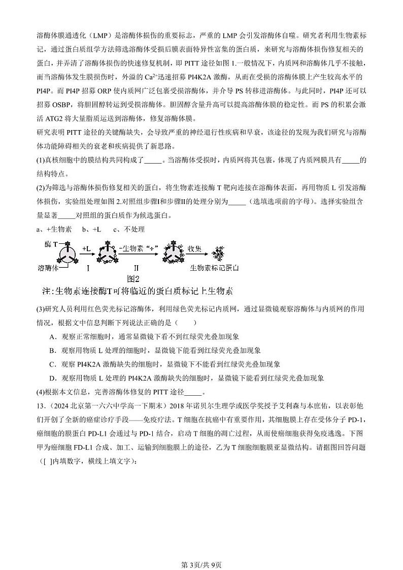 2024北京重点校高一（下）期末真题生物汇编：细胞的基本结构章节综合第3页