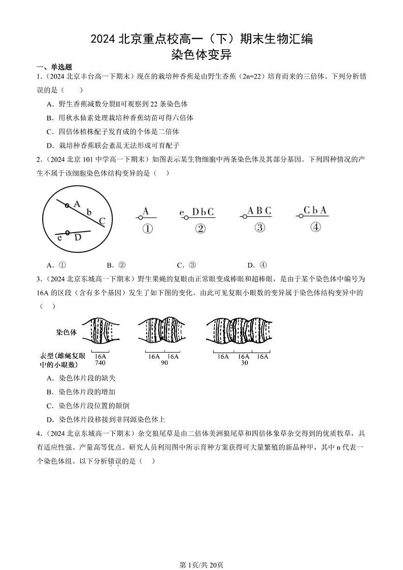 2024北京重点校高一（下）期末真题生物汇编：染色体变异第1页