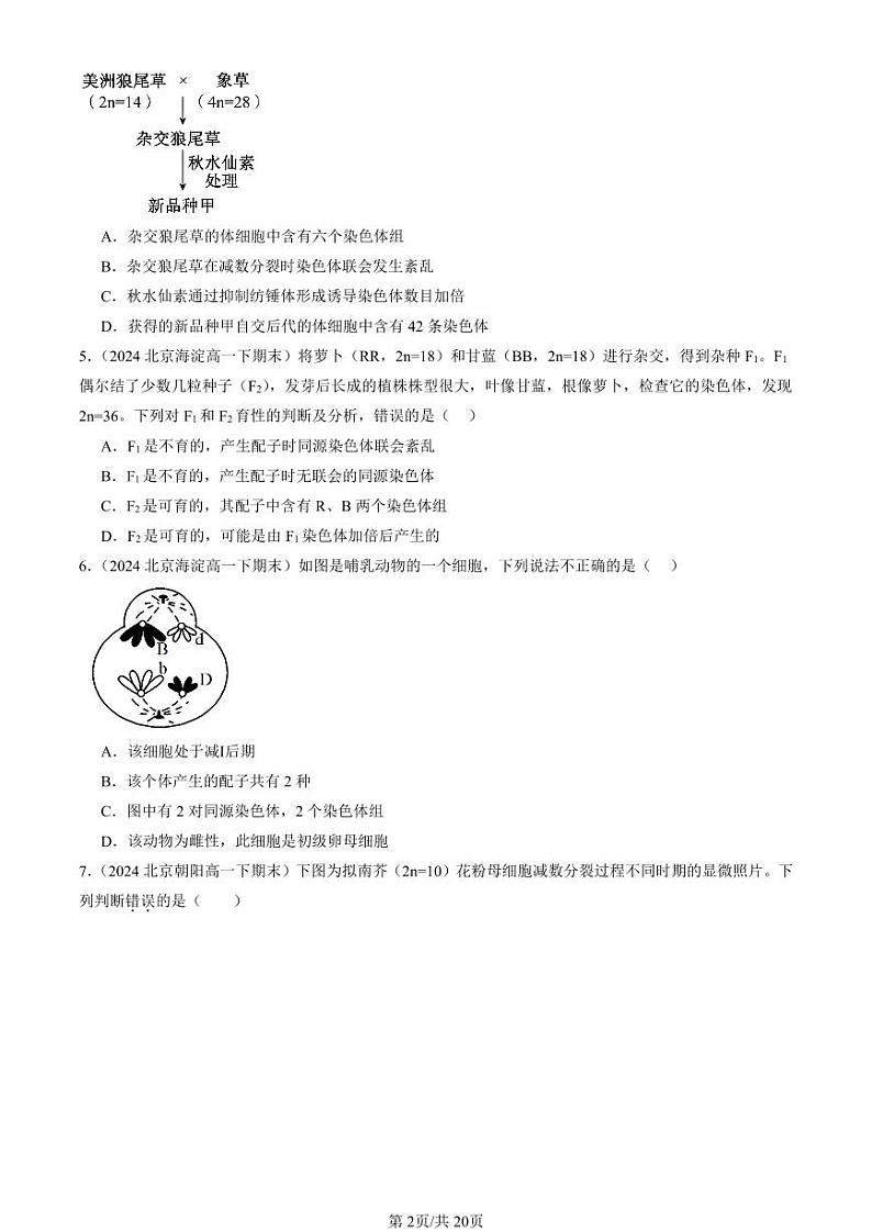 2024北京重点校高一（下）期末真题生物汇编：染色体变异第2页