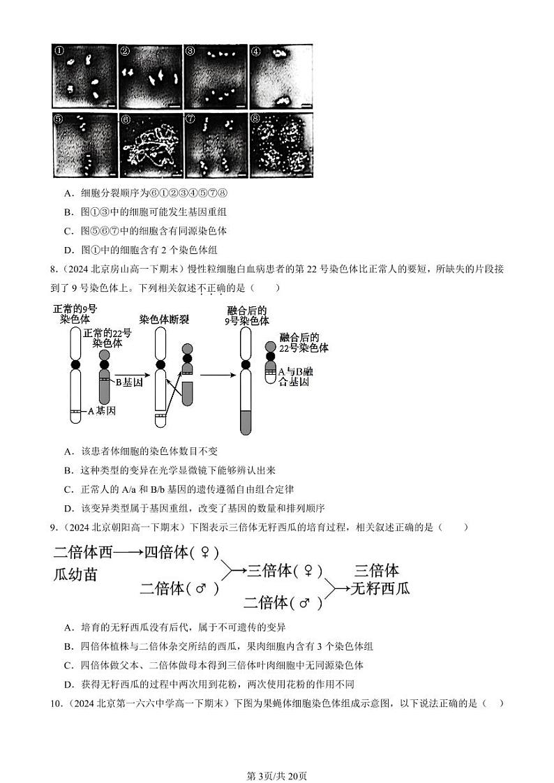 2024北京重点校高一（下）期末真题生物汇编：染色体变异第3页